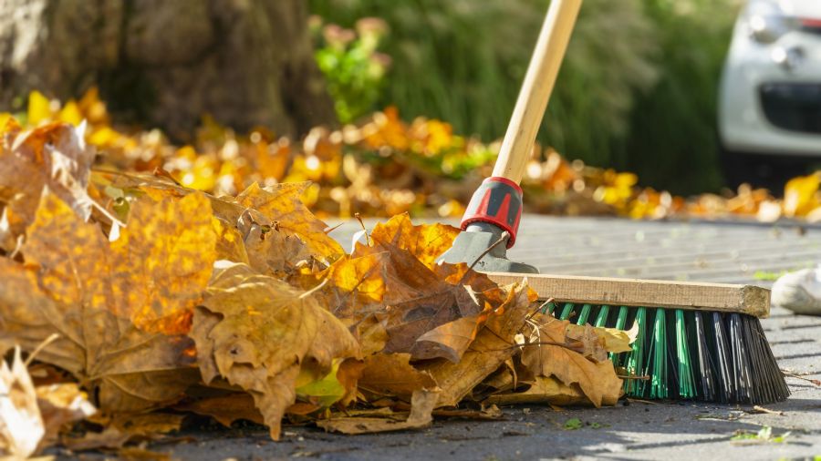 Fall Clean up by MRO Landscaping LLC