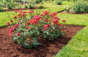 South Kent mulch delivery and installation