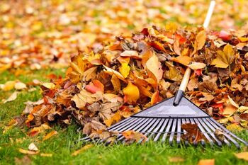 Fall cleanup in New Canaan