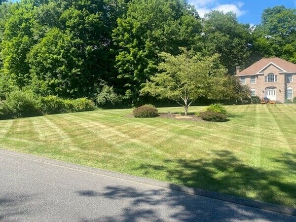Lawn Mowing Services in Danbury, CT (3)