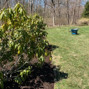 Landscaping in Trumbull, CT (1)