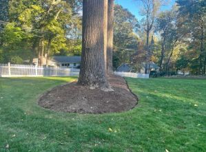 Mulching in Westport, CT (6)