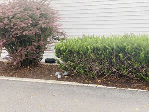 Commercial Landscaping in Danbury, CT (4)