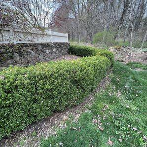 Before & After Landscaping in Woodbury, CT (1)