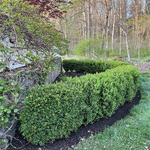 Before & After Landscaping in Woodbury, CT (2)