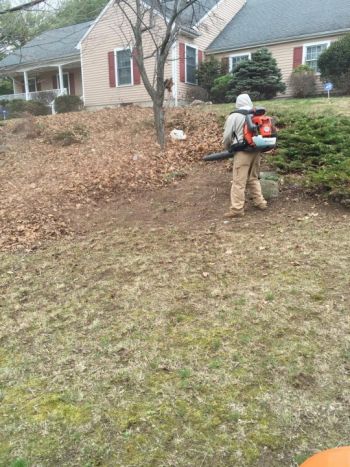 Leaf removal in Wilton, CT by MRO Landscaping LLC.