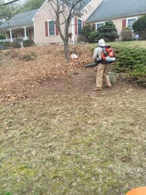 Leaf removal by MRO Landscaping LLC.